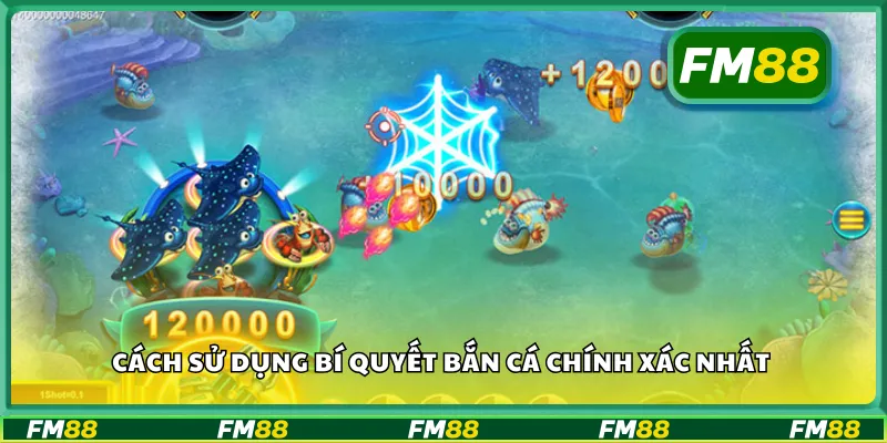 Cách sử dụng bí quyết bắn cá chính xác nhất