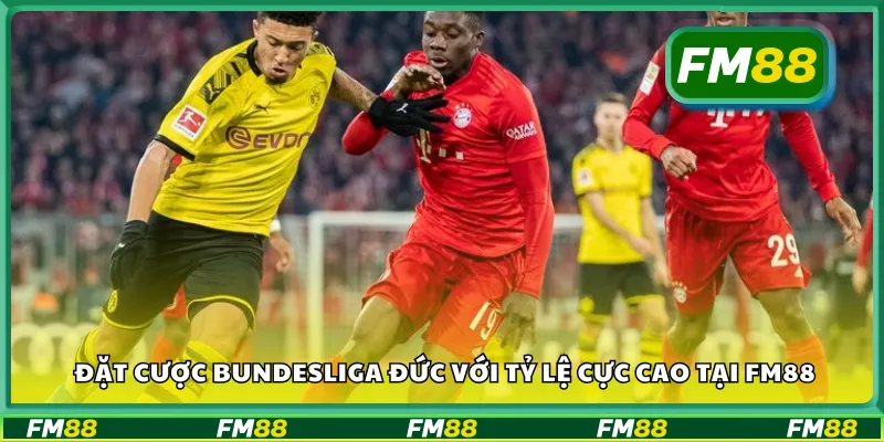Đặt cược Bundesliga Đức với tỷ lệ cực cao tại FM88