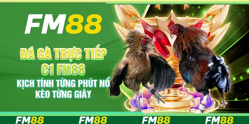Đá gà trực tiếp C1 FM88 – Kịch tính từng phút nổ kèo từng giây