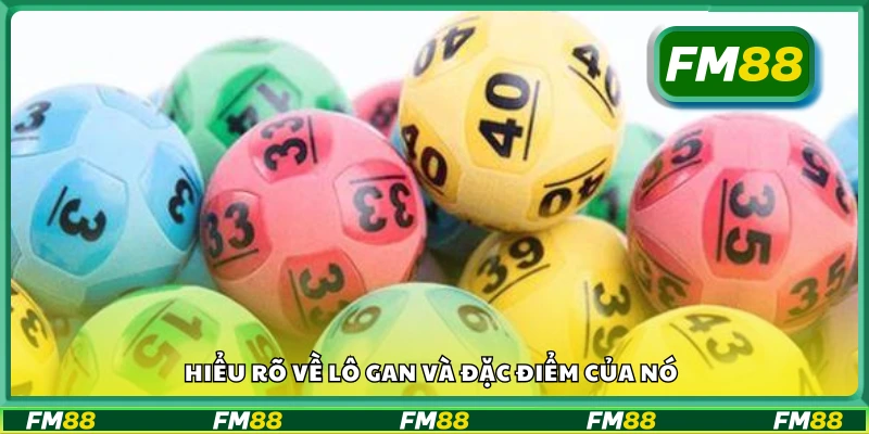 Tìm hiểu về lô gan và đặc điểm của nó