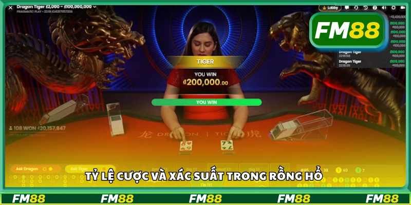 Khám phá tỷ lệ cược và xác suất trong Rồng Hổ