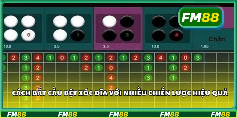 Cách bắt cầu bệt xóc đĩa với nhiều chiến lược hiệu quả