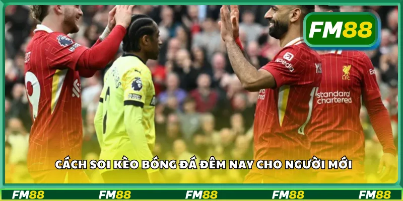 Cách soi kèo bóng đá đêm nay cho người mới
