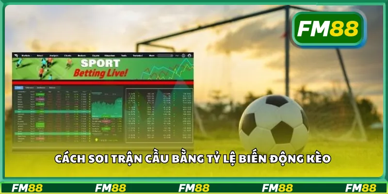 Cách soi trận cầu bằng tỷ lệ biến động kèo