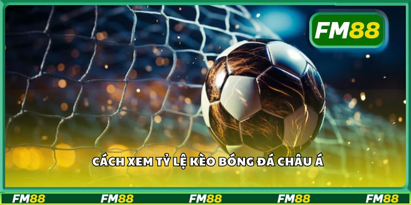 Cách xem tỷ lệ kèo bóng đá châu Á
