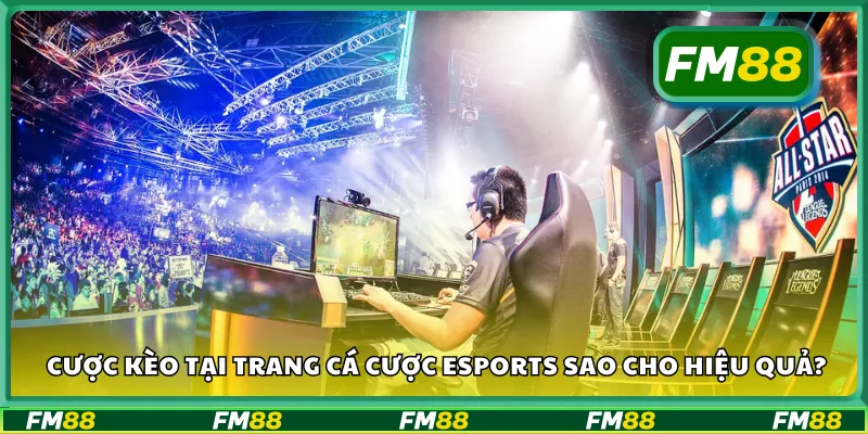 Cược kèo tại trang cá cược eSports sao cho hiệu quả?