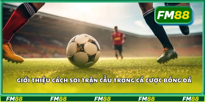 Giới thiệu cách soi trận cầu trong cá cược bóng đá
