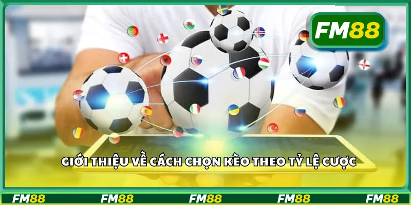 Giới thiệu về cách chọn kèo theo tỷ lệ cược