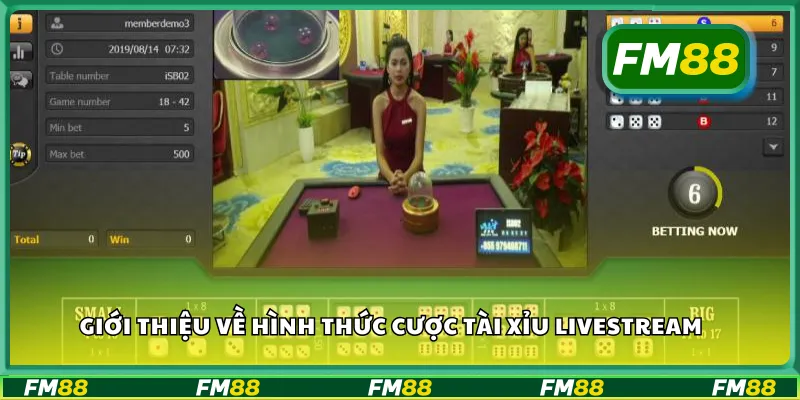 Giới thiệu về hình thức cược tài xỉu livestream