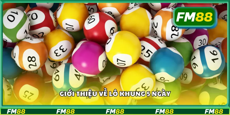 Giới thiệu về lô khung 5 ngày