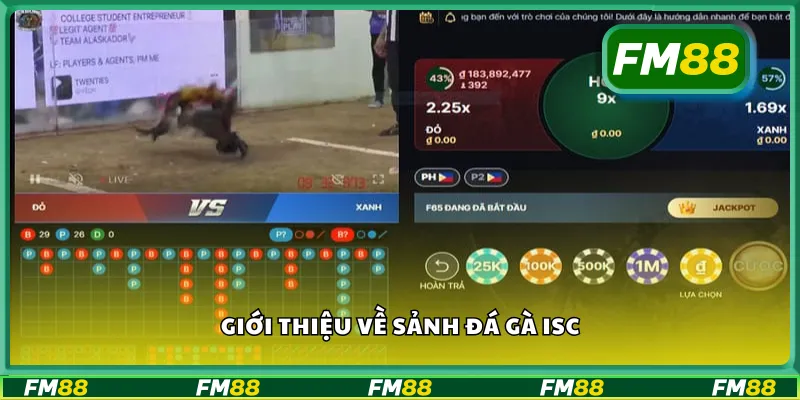 Giới thiệu về sảnh đá gà ISC