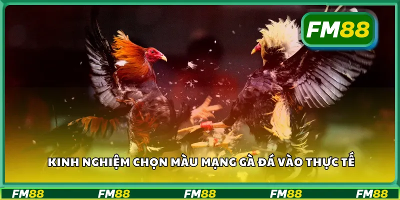 Kinh nghiệm chọn màu mạng gà đá vào thực tế