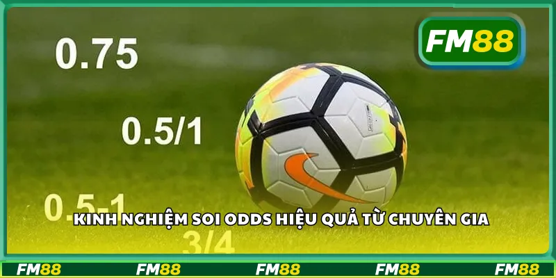 Kinh nghiệm soi odds hiệu quả từ chuyên gia
