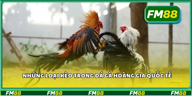 Những loại kèo trong đá gà hoàng gia quốc tế