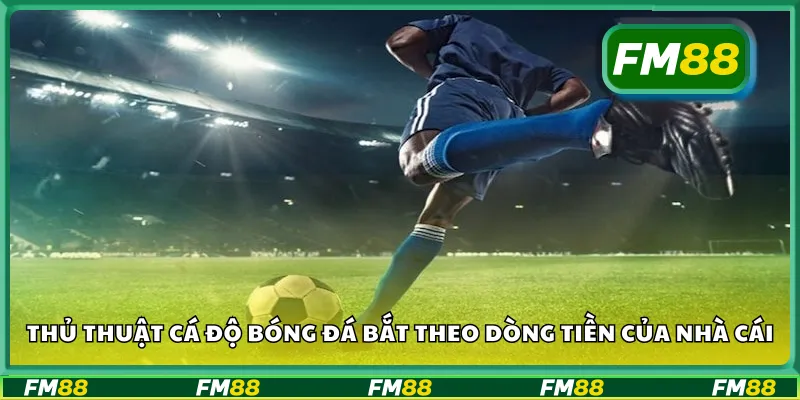 Thủ thuật cá độ bóng đá bắt theo dòng tiền của nhà cái