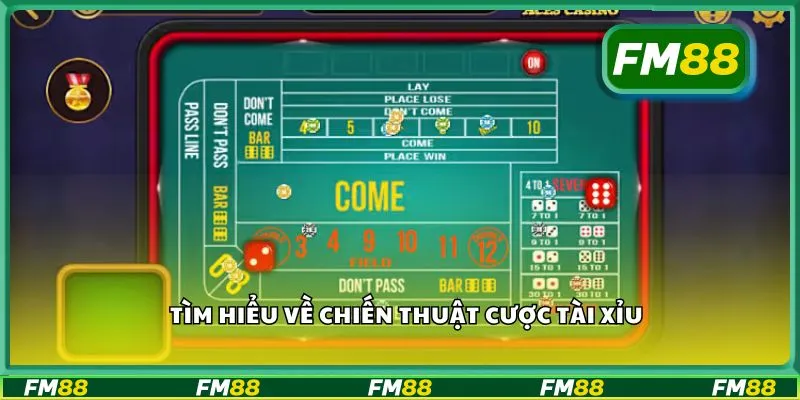 Tìm hiểu về chiến thuật cược tài xỉu