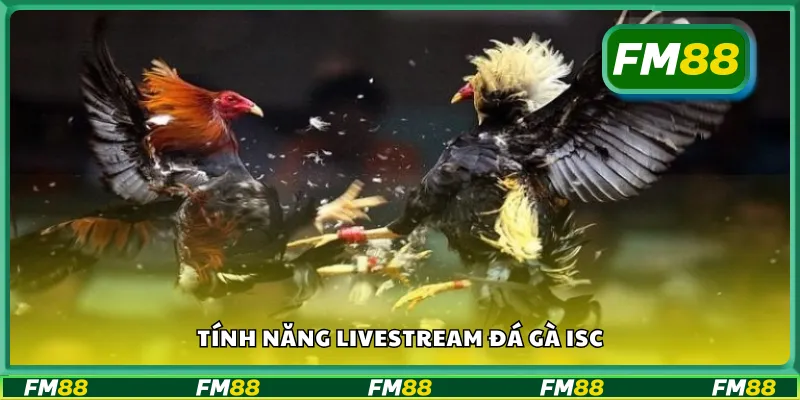 Tính năng livestream đá gà ISC