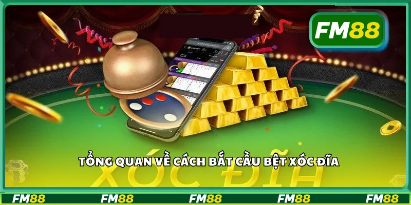 Tổng quan về cách bắt cầu bệt xóc đĩa