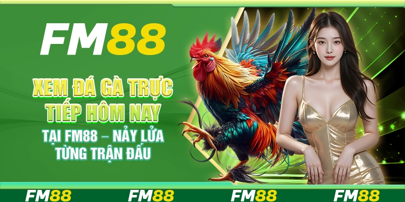 Xem đá gà trực tiếp hôm nay tại FM88 – Nảy lửa từng trận đấu