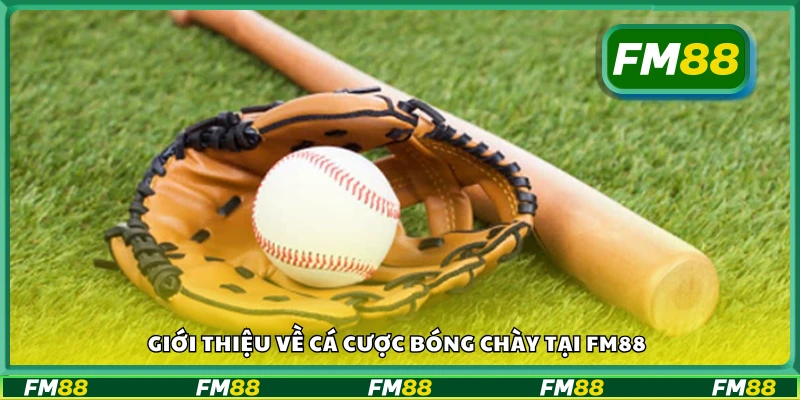 Tổng quan về cá cược bóng chày tại FM88