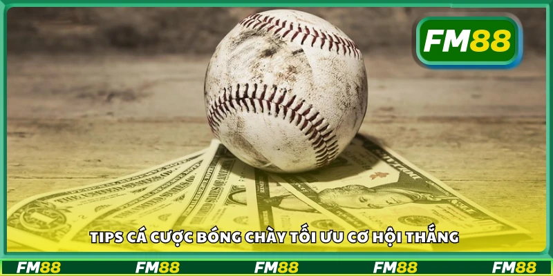 Bí quyết đặt cược bóng chày giúp tăng tỷ lệ chiến thắng