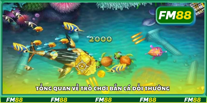 Giới thiệu tổng quan về game bắn cá