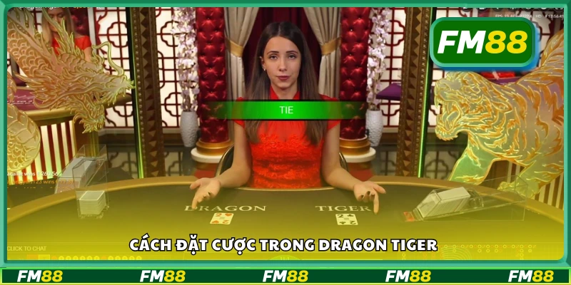 Hướng dẫn cách chơi và đặt cược Dragon Tiger