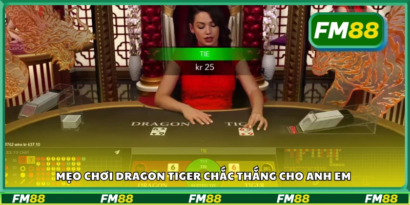 Mẹo chơi Dragon Tiger luôn thắng dành cho tân thủ
