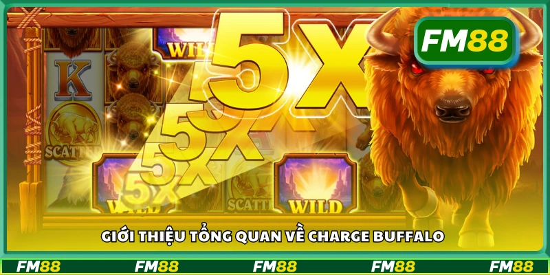 Tìm hiểu cơ bản về game Charge Buffalo