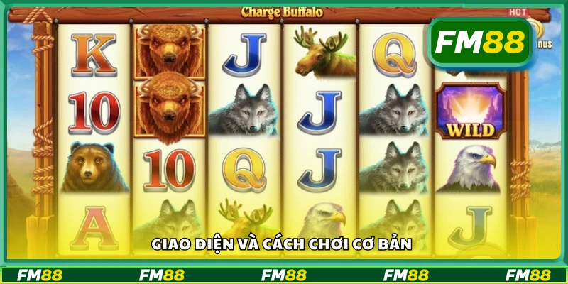 Hướng dẫn cách chơi và giao diện game