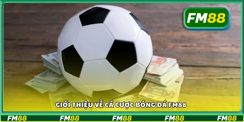 Tổng quan về dịch vụ cá cược bóng đá tại FM88