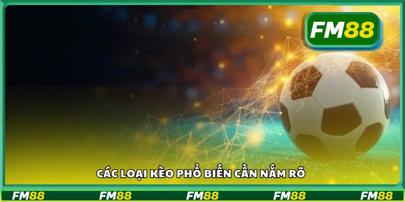 Những dạng kèo cơ bản trong cá cược thể thao